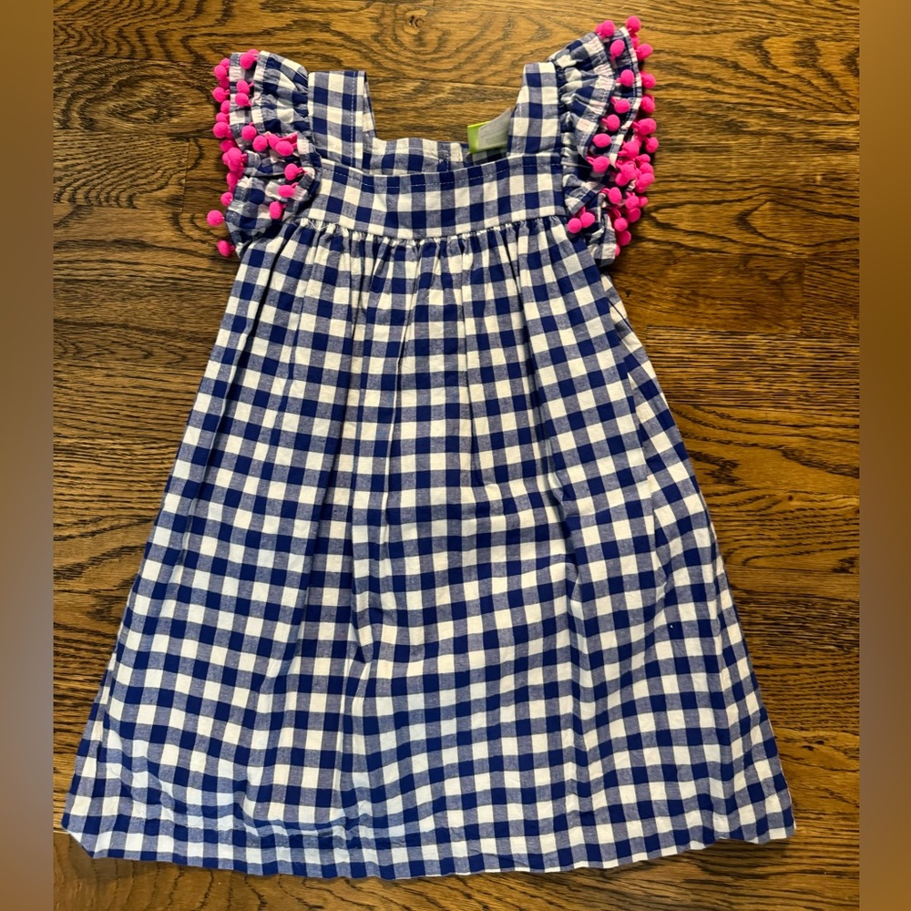 EUC Classic Whimsy blue gingham and pink dress size 5
